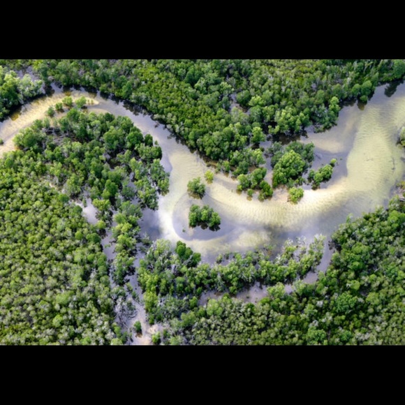 Meet your Posher, Sarah K Upcycledclass ♻️ - Picture 4 of 8